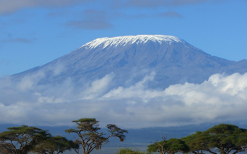 Сафари-тур в Кению + Килиманджаро
