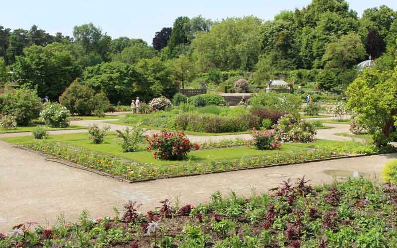 Ботанический-сад-в-Мюнхене.jpg