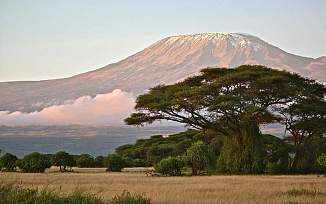 Восхождение на Килиманджаро по маршруту Марангу. Уровень - новичок.