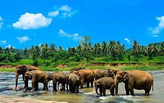 Драгоценности Шри Ланки